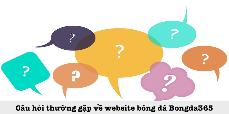 Thắc mắc chung về Bongda365