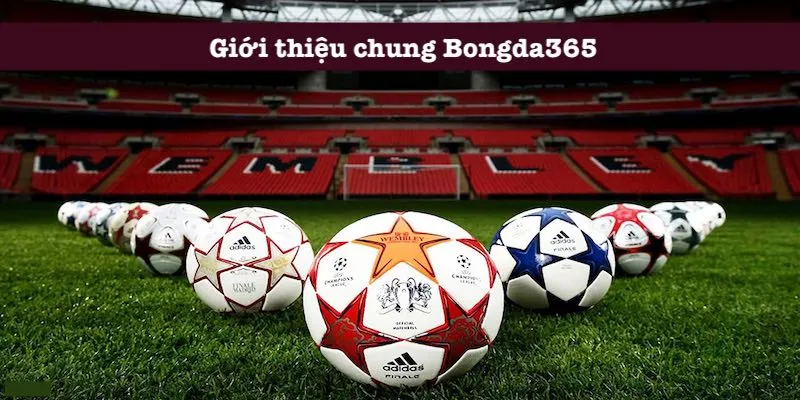 Thông tin chung Bongda365