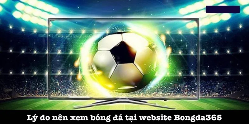Lợi ích khi xem bóng đá tại Bongda365