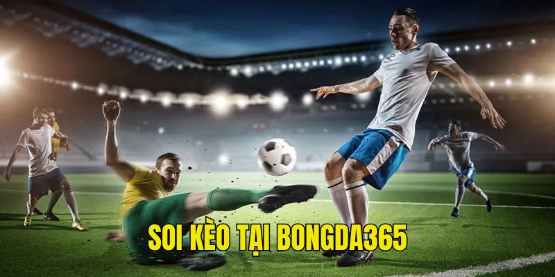 Soi kèo tại bongda365