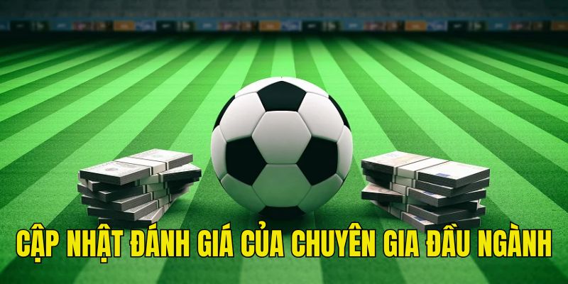 Những gợi ý kết quả đều dựa trên đánh giá của chuyên gia